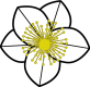 Christrose Christrose