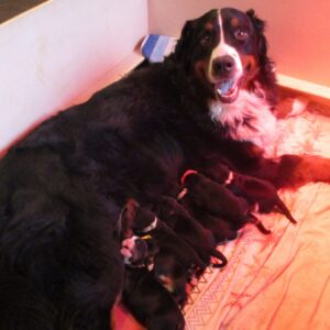 IMG-20201224-WA0000