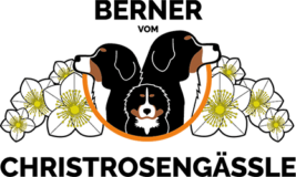 Logo_Christrosengaessle_Logo_250p